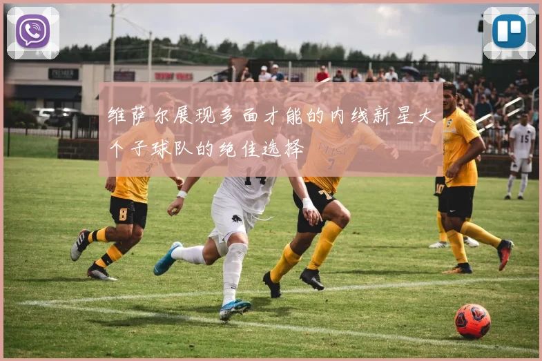 维萨尔展现多面才能的内线新星大个子球队的绝佳选择