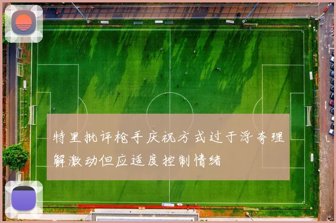 特里批评枪手庆祝方式过于浮夸理解激动但应适度控制情绪